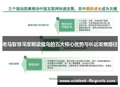 老马智慧深度解读魔鸟的五大核心优势与长远发展路径